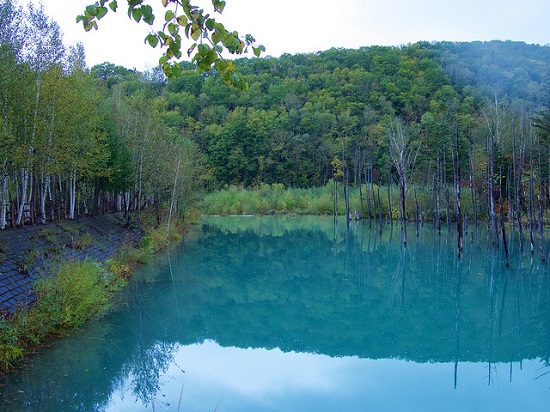 Kolam Biru Aoiike Hokkaido