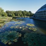 Kolam di samping Taman Botani Kyoto