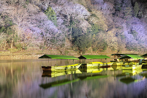 Kyoto Arashiyama Hanatouro 