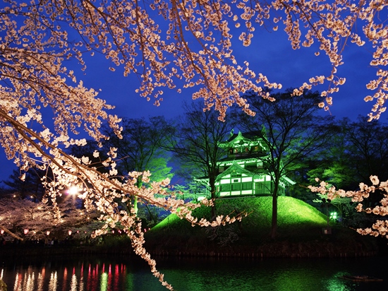 Info Wisata di Niigata Light up bunga sakura di Kastil Takada