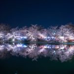 Light up di Garyu Park saat festival bunga sakura