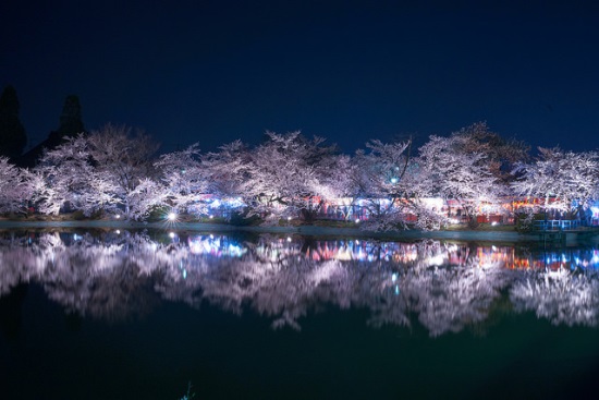 Light up di Garyu Park saat festival bunga sakura