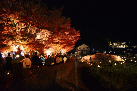 Light up momiji di Danau Kawaguchiko