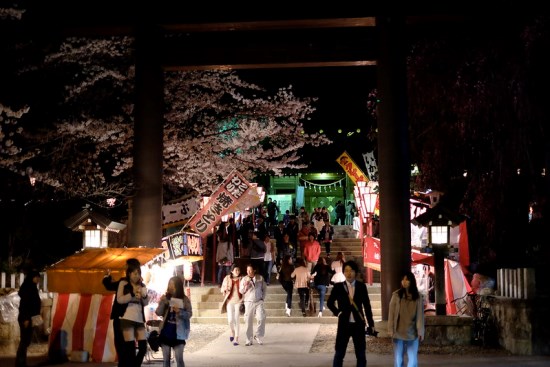 Light up sakura di Kaiseizan Park Koriyama