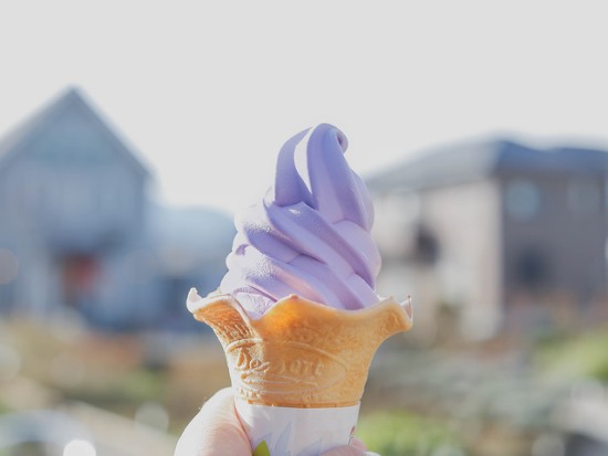 Makan es krim lavender di Museum Herbal Kawaguchiko