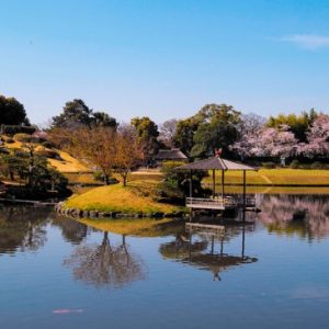 Melihat hanami sakura di Taman Korakuen