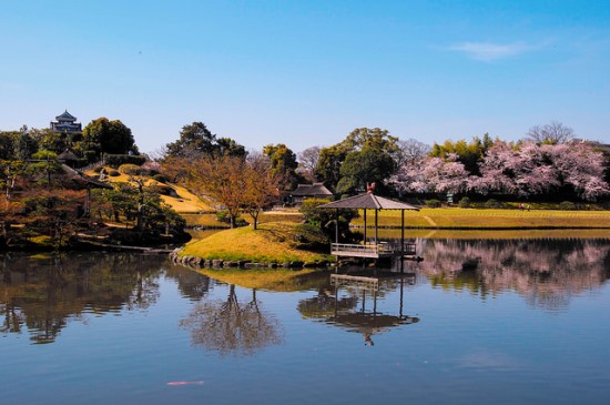 Melihat hanami sakura di Taman Korakuen