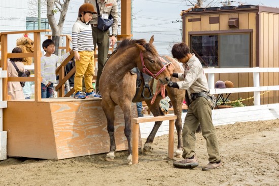 Menaiki kuda di Kobe Animal Kingdom