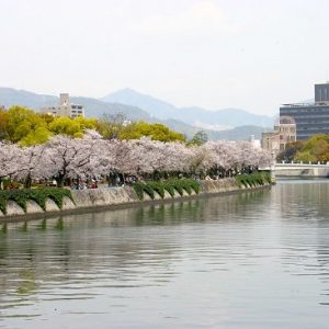 Menikmati hanami di Peace Memorial Park Sakura 2020