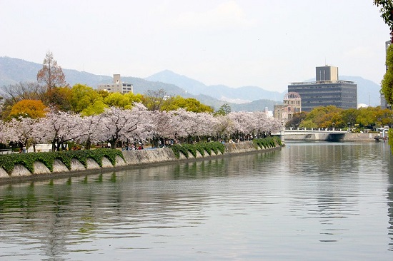Menikmati hanami di Peace Memorial Park Sakura 2020