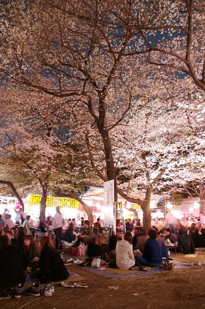 Menikmati hanami sakura di Kuil Yasukuni Jinja