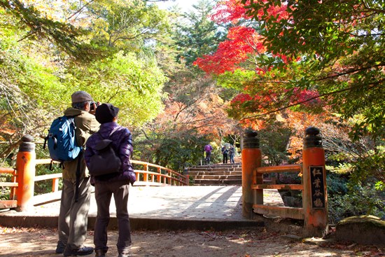 Menikmati pemandangan di Momijidani Park Miyajima