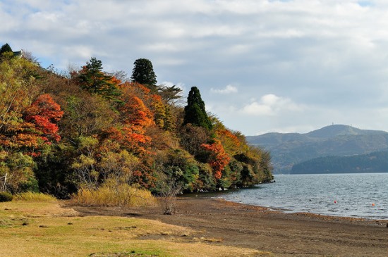 Momiji musim gugur dari Hakone En