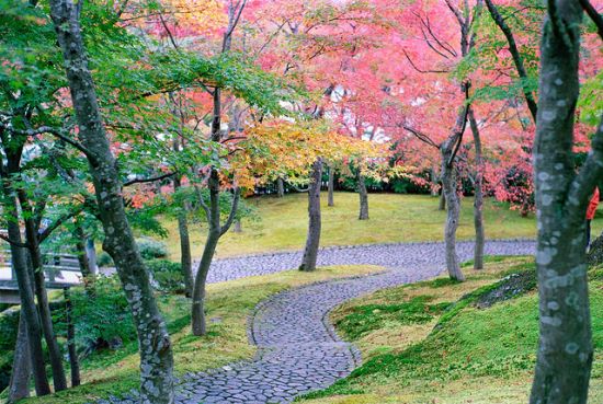 Tempat Wisata di Hakone Museum Seni Hakone