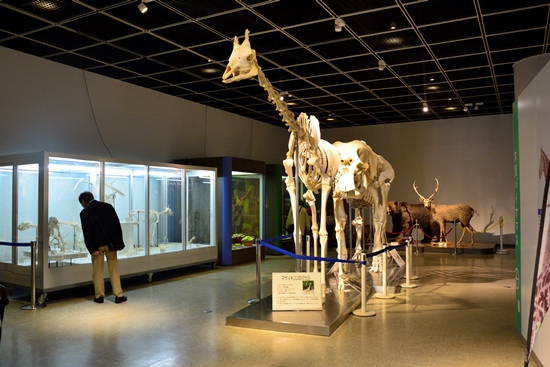 Museum di Kebun Binatang Maruyama