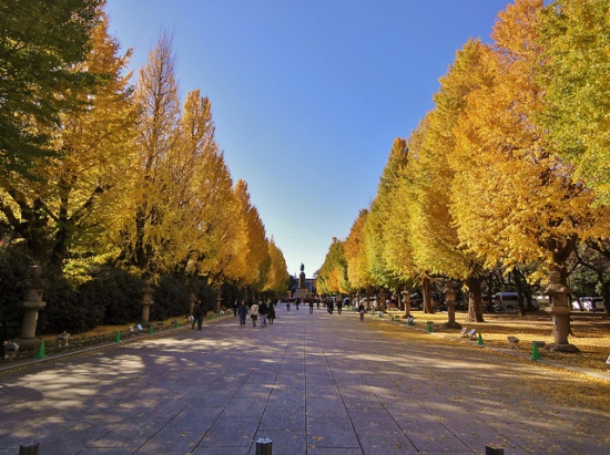 Musim gugur di Kuil Yasukuni Jinja