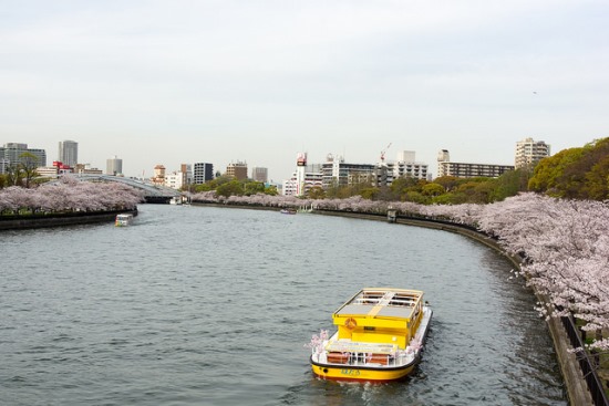 Naik kapal menyusuri Kema Sakuranomiya