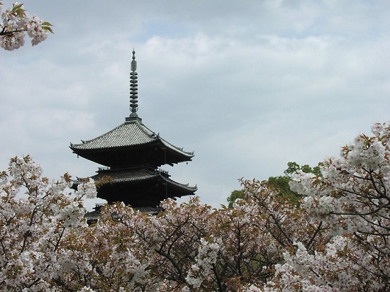 Pagoda Kuil Ninnaji waktu Ninnaji Sakura 2020