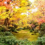 Panorama musim gugur di Okochi Sanso Arashiyama