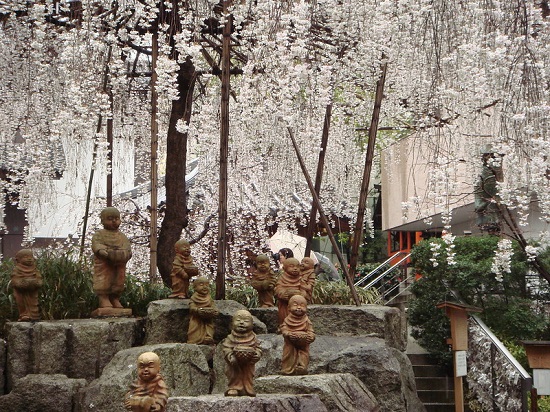 Patung di bawah pohon bunga sakura di Rokkakudo Temple