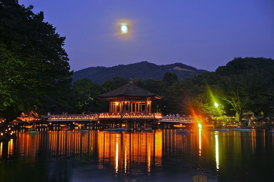 Pavilio Ukimido saat Festival Nara Tokae