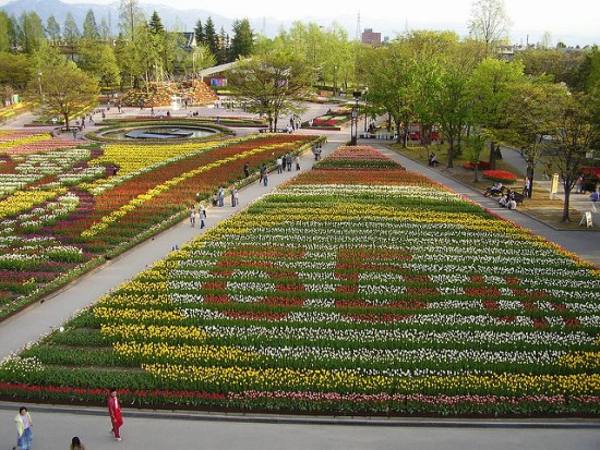 Pemandangan Kebun Tulip Tonami