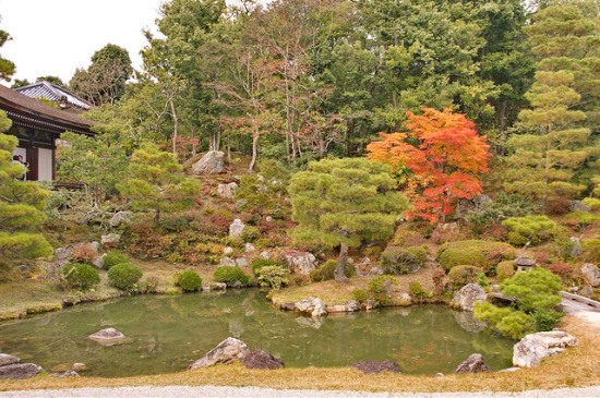 Pemandangan Kuil Ninnaji Kyoto saat musim gugur