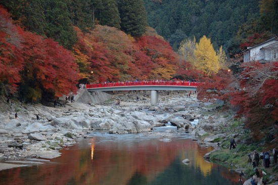 Pemandangan Momiji di Korankei