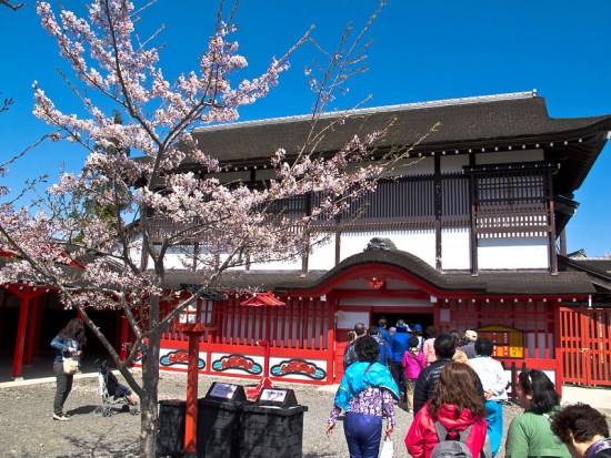 Pemandangan Noboribetsu Sakura 2020