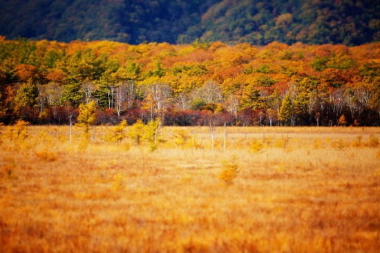 Pemandangan Senjogahara di musim gugur