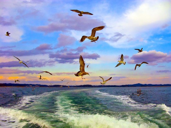 Pemandangan Terindah di Jepang Matsushima di Miyagi