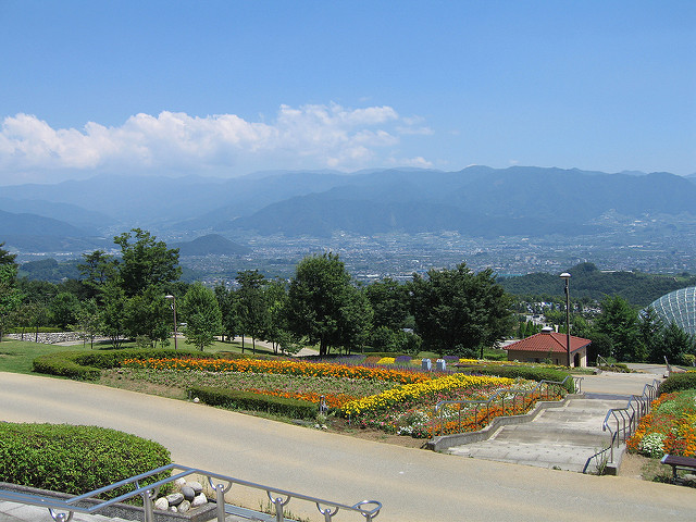 gambar pohon apel fuji Kebun Buah Fuefukigawa Info Liburan dan Wisata di Jepang