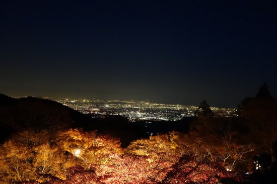Pemandangan kota dari Gunung Oyama