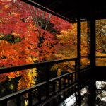 Pemandangan momiji dari Kuil Rurikoin Kyoto