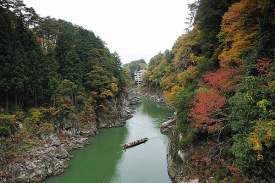 Pemandangan musim gugur Tebing Tenryukyo di Nagano