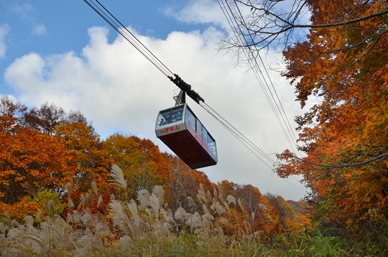 Pemandangan musim gugur dari Hakkoda Ropeway