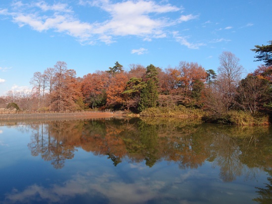 Pemandangan musim gugur di Sayama Park