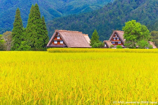 Pemandangan musim gugur di Shirakawa