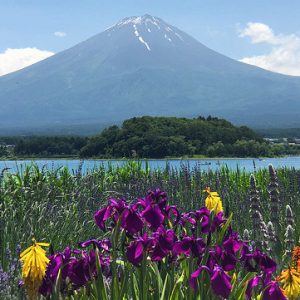 Pemandangan saat Kawaguchiko Herb Festival