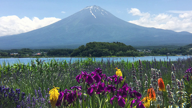 Pemandangan saat Kawaguchiko Herb Festival