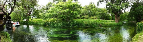 Pemandangan sungai di Kebun Wasabi Daio