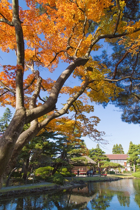 Pendopo Choyokaku di Oyakuen Garden