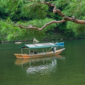 Pengalaman menyusuri sungai Hozugawa Sakura