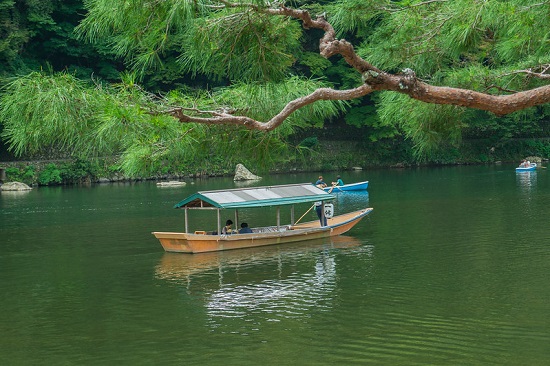 Pengalaman menyusuri sungai Hozugawa Sakura