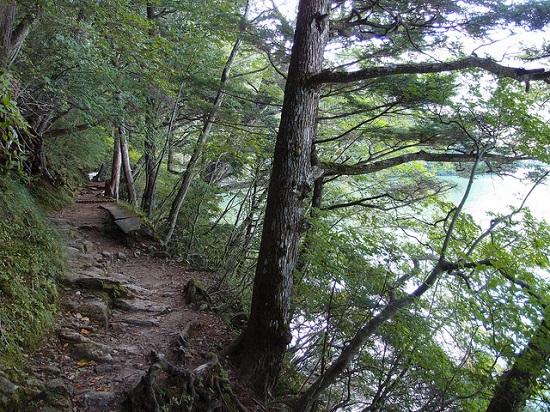 Rute alam Senjogahara Plateau menyusuri Danau Yunoko