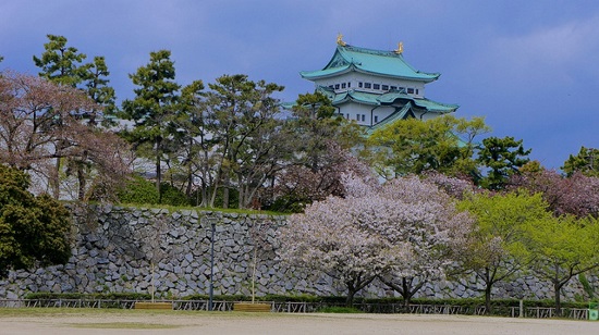 Sakura di Nagoya Castle
