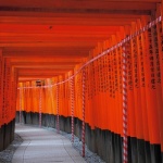 Seribu Torii di Fushimi Inari Taisha