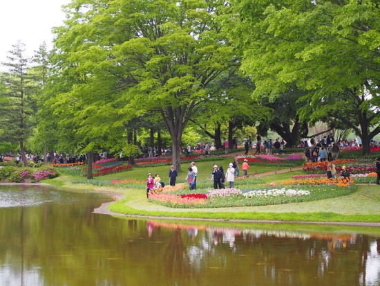 Suasana Flower Festival di Showa Memorial Park