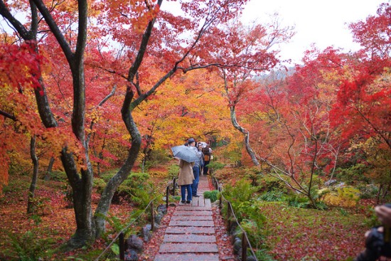 Suasana Kuil Hokyoin di daerah wisata Arashiyama