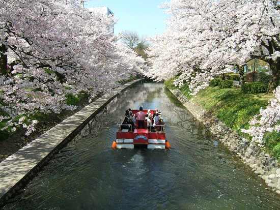Suasana Matsukawa River Cruise di musim semi